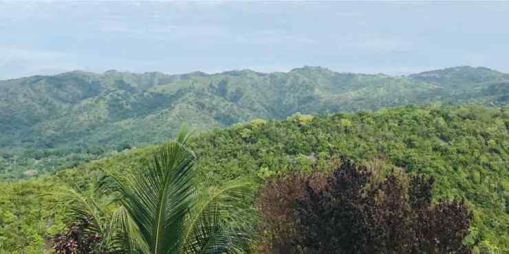 Vue sur l'île de Siquijor version terre depuis le restaurant panoramique - Philippines