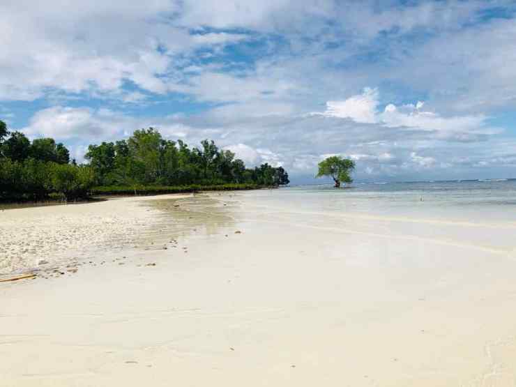 Plage déserte- Siquijor - Philippines