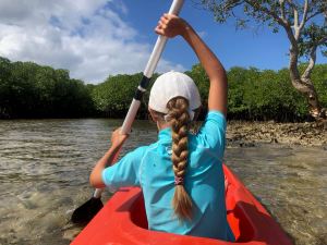 En kayak dans la mangrove - Pangangan Island - Bohol - Philippines