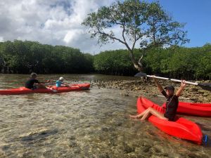En kayak dans la mangrove - Pangangan Island - Bohol - Philippines