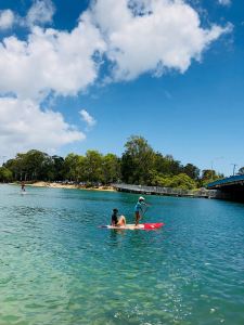 Paddle sur la rivière - Gold Coast - Australie