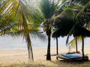 Plage du Coco Grove - Siquijor - Philippines