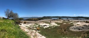 Paysage de lave - Ambury Regional Park - Nouvelle-Zélande