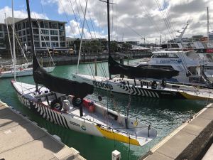Voilier de compétition dans le port d'Auckland - Nouvelle Zélande