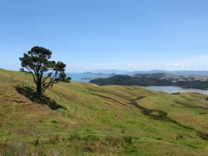 En chemin.. - Coromandel - Nouvelle Zélande