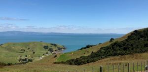 En chemin.. - Coromandel - Nouvelle Zélande