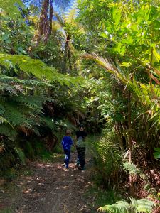 Sur la trace des chercheurs d'or - Coromandel - Nouvelle Zélande