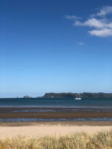 Sur la route - Coromandel - Nouvelle Zélande