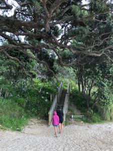 Début de la balade vers Cathedral Cove - Coromandel - Nouvelle Zélande