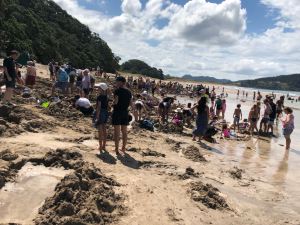 Dubitatives devant Hot Water Beach - Coromandel - Nouvelle Zélande