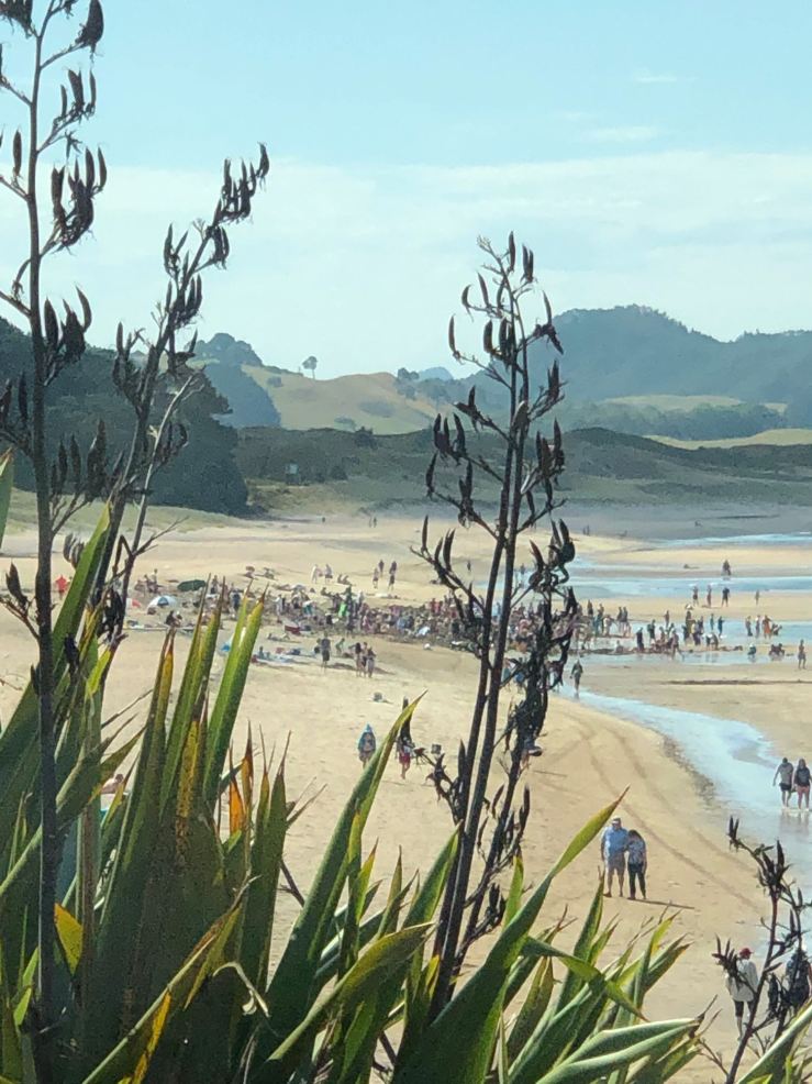 Hot Water Beach - Coromandel - Nouvelle-Zélande