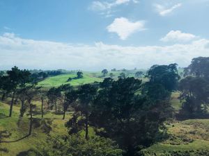 Paysage de la Comté- Avant d'arriver à Hobbiton - Nouvelle-Zélande