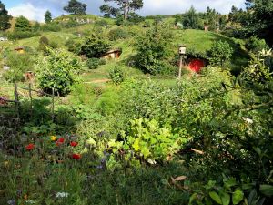 Vue générale sur la Comté - Hobbiton - Nouvelle-Zélande