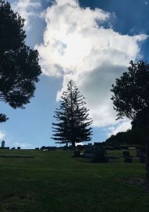 Pin typique de Nouvelle Zélande - Long Beach - Russel - Bay of Island