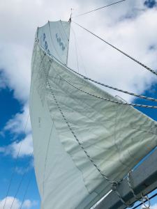 Bay of Island en voilier - Nouvelle Zélande