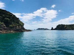Bay of Island en voilier - Nouvelle Zélande