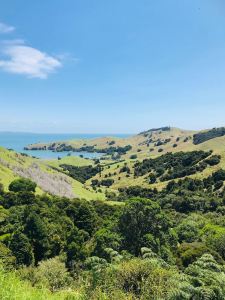 Sur la route - Coromandel - Nouvelle Zélande