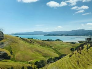 Sur la route - Coromandel - Nouvelle Zélande