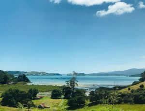 Sur la route - Coromandel - Nouvelle Zélande