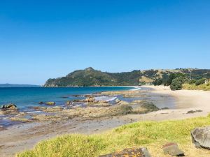 Sur la route - Coromandel - Nouvelle Zélande