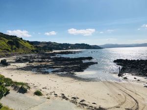 Sur la route - Coromandel - Nouvelle Zélande