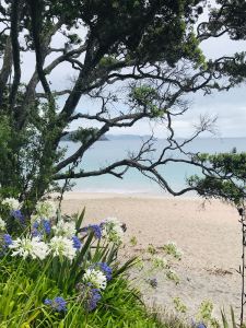 Vue depuis la balade menant à Cathedral Cove - Coromandel - Nouvelle-Zélande