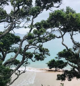 Vue depuis la balade menant à Cathedral Cove - Coromandel - Nouvelle-Zélande