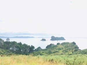Vue depuis la balade menant à Cathedral Cove - Coromandel - Nouvelle-Zélande