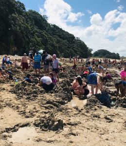 Hot Water Beach - Coromandel - Nouvelle-Zélande