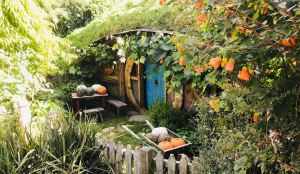 Trou de Hobbit - Hobbiton - Nouvelle-Zélande