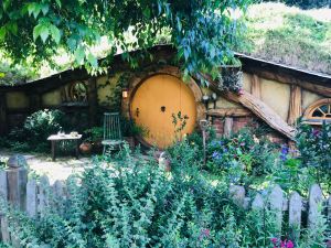 Trou de Hobbit - Hobbiton - Nouvelle-Zélande