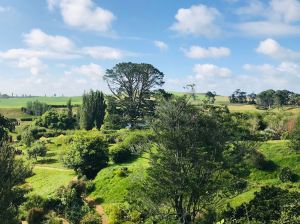 La Comté - Hobbiton - Nouvelle-Zélande
