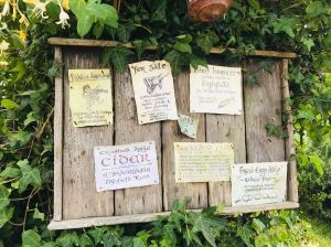 Petites annonces dans la Comté - Hobbiton - Nouvelle-Zélande