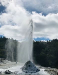 Lady Knox Geyser - Wai O Tapu - Nouvelle-Zélande