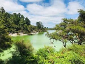 Grand lac vert - Wai O Tapu -Nouvelle-Zélande