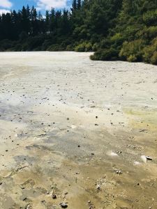 Sol très chaud et très acide - Wai O Tapu -Nouvelle-Zélande