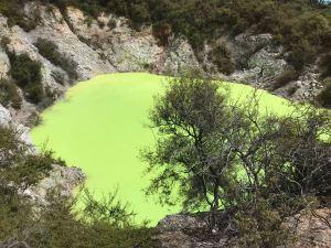 Piscine Vert Fluo - Wai O Tapu - Nouvelle-Zélande