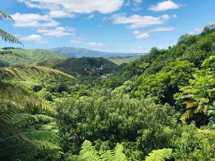 Wanganui Volcanic Valley, Fumante - Nouvelle-Zélande