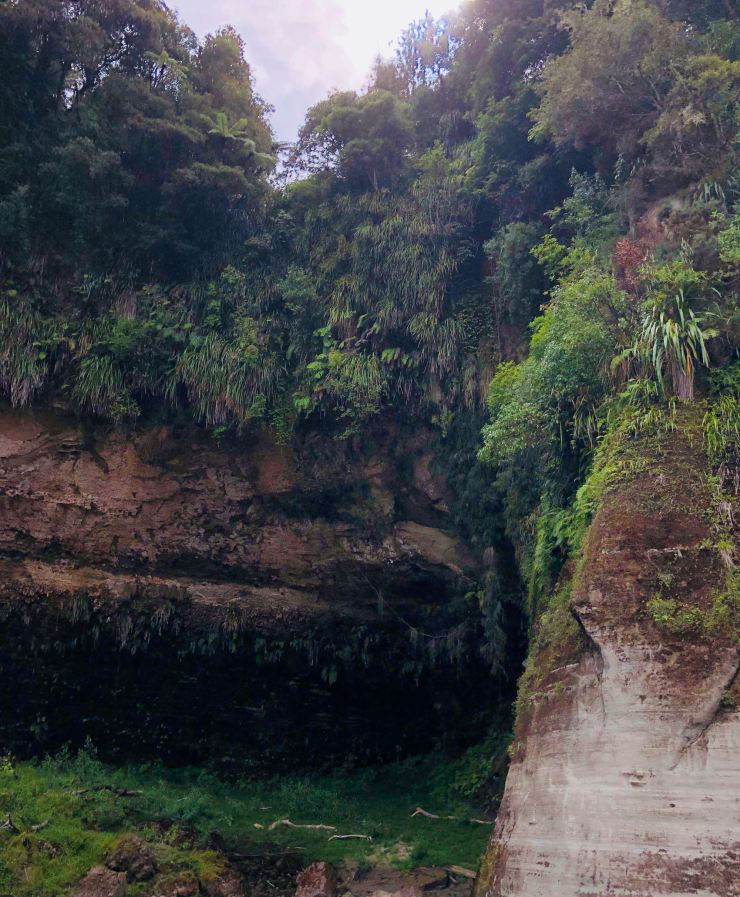 Les marques de montée des eaux - Whanganui River - Nouvelle-Zélande