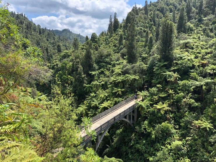 Bridge to Nowhere (le pont vers nulle part) - Whanganui River - Nouvelle-Zélande