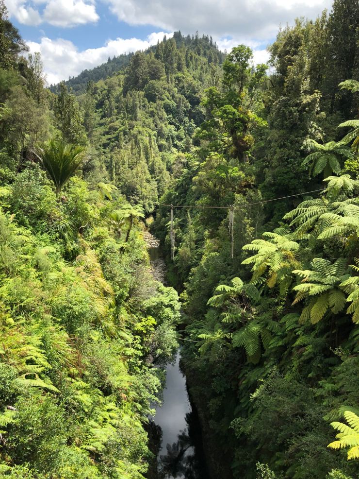 Whanganui River - Nouvelle-Zélande
