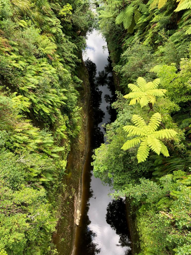 Whanganui River vue d'en haut - Nouvelle-Zélande