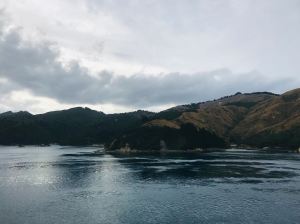 Premiers fjords de l'ïle Sud - Région de Picton - Nouvelle-Zélande