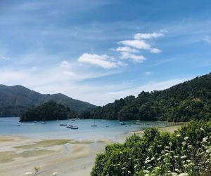 Vue sur la route "Queen Charlotte Scenic Road" - Région de Marlborough - Nouvelle-Zélande