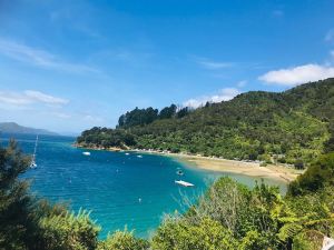 Vue sur la route "Queen Charlotte Scenic Road" - Région de Marborough - Nouvelle-Zélande