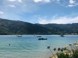 Vue sur la route "Queen Charlotte Scenic Road" - Région de Marborough - Nouvelle-Zélande