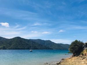 Vue sur la route "Queen Charlotte Scenic Road" - Région de Marborough - Nouvelle-Zélande