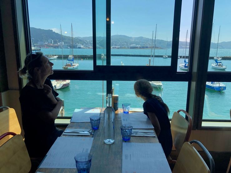 En attendant Tim, vue sur la Marina - Wellington - Nouvelle-Zélande