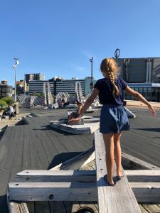 Jeu dans le beau parc en bois - Wellington - Nouvelle-Zélande