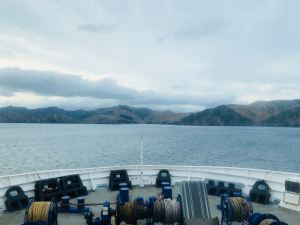 Premiers fjords de la région de Picton - Ile Sud - Nouvelle-Zélande